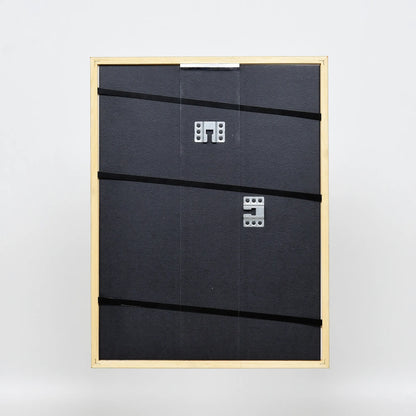 [Braun] 22 – back