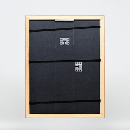 [Braun] 43 – back