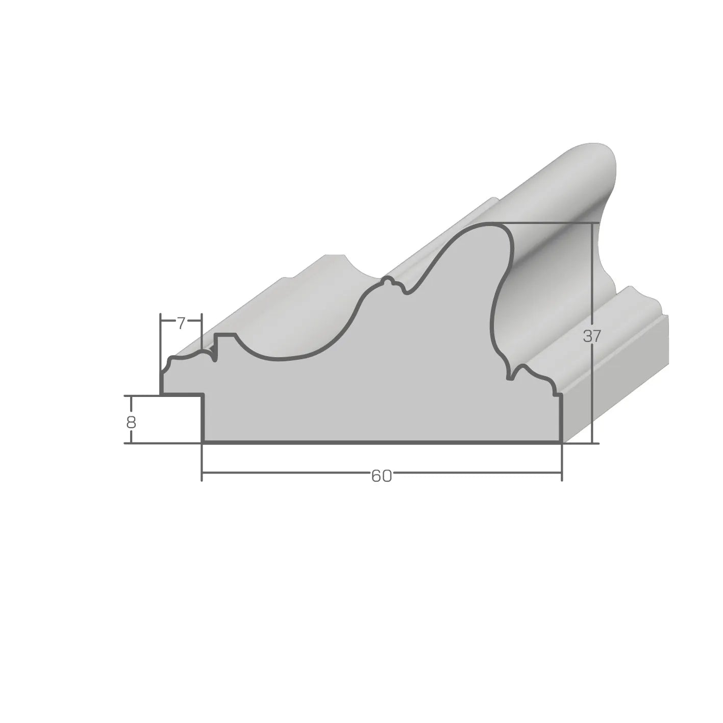 E028 – profile