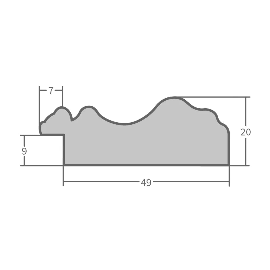H550 – profile