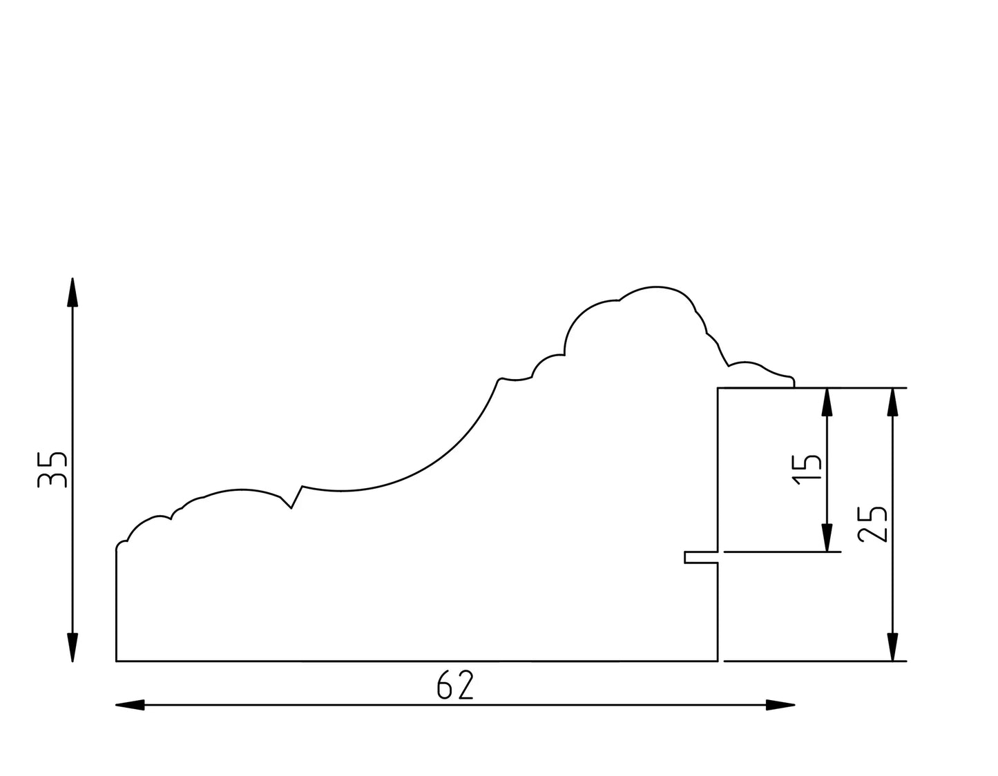 31 – profile
