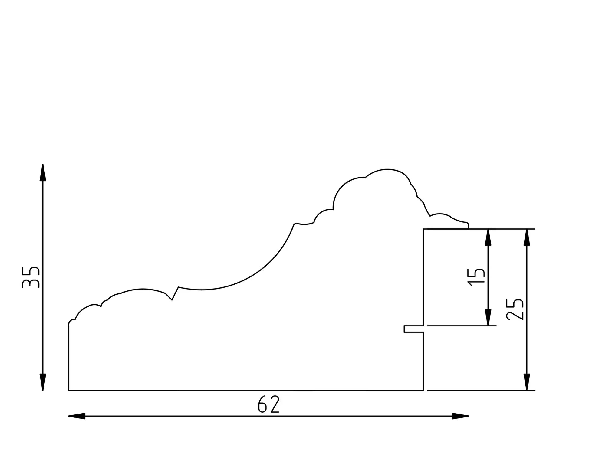 31 – profile